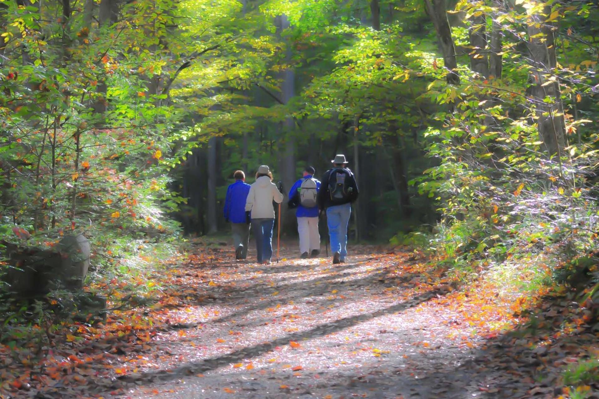 Hidden Hollow Pigeon Forge Esterno foto