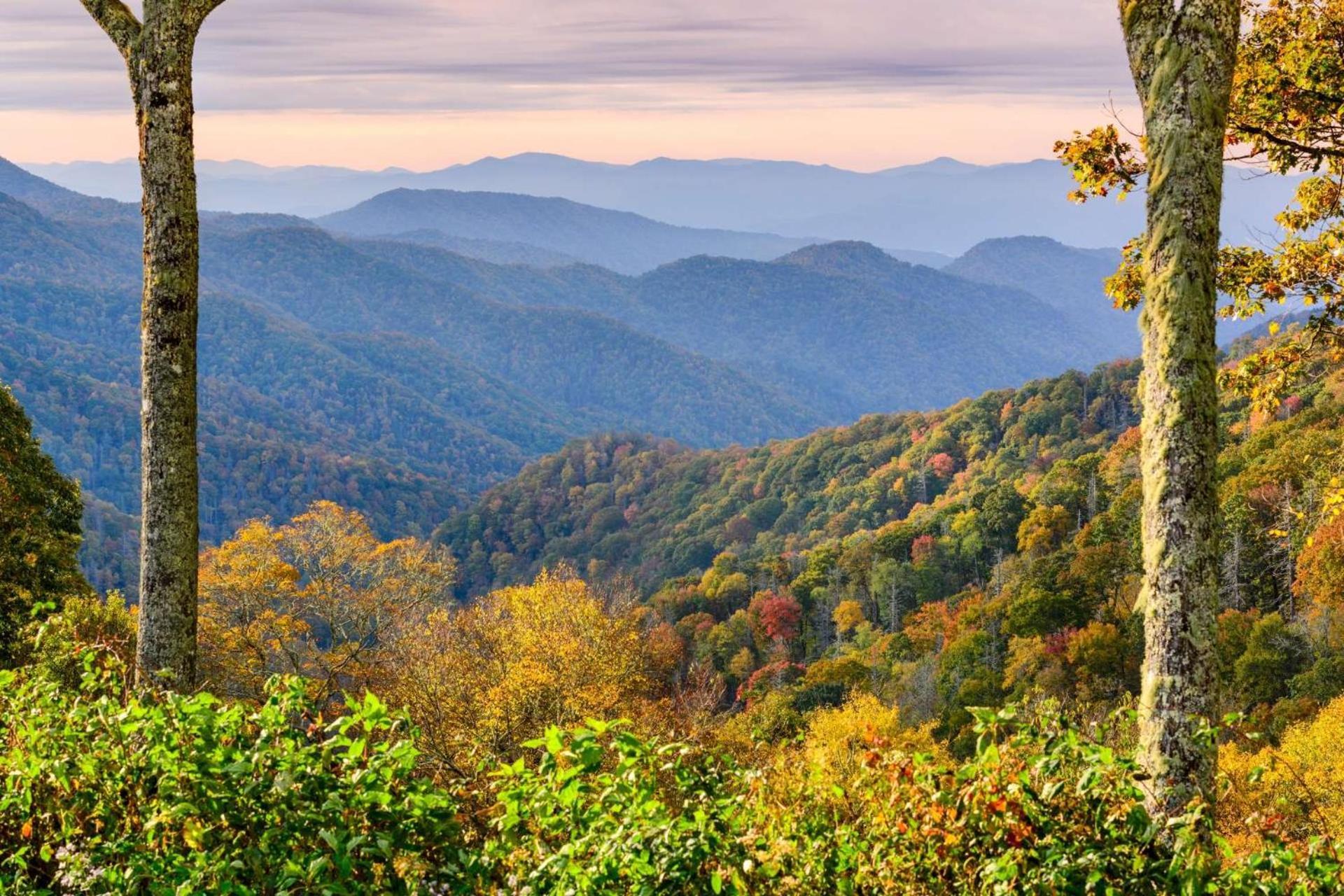 Hidden Hollow Pigeon Forge Esterno foto