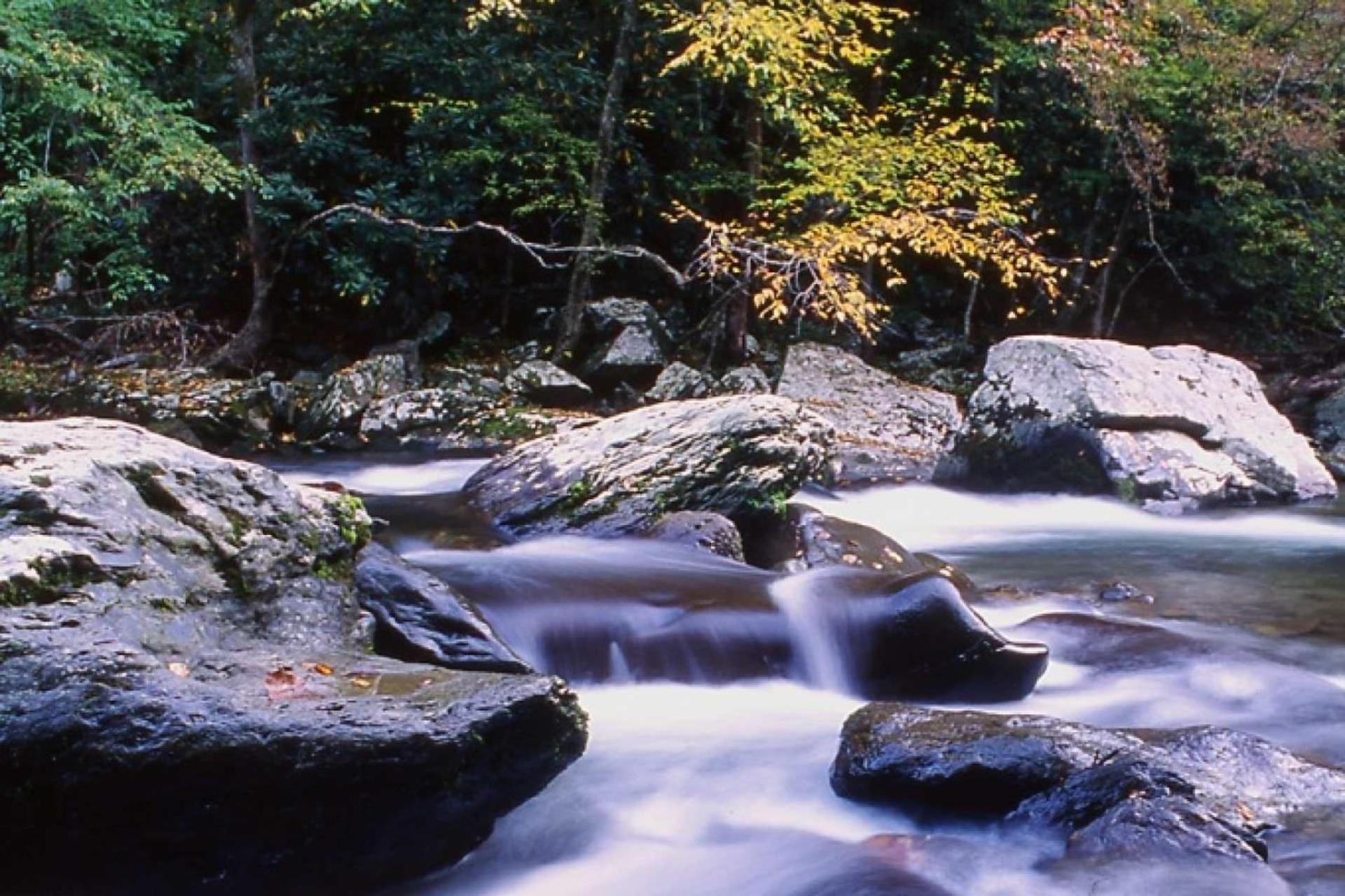 Hidden Hollow Pigeon Forge Esterno foto